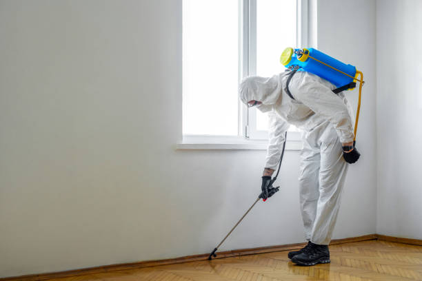 Best Pest Control for Businesses  in Hominy, OK