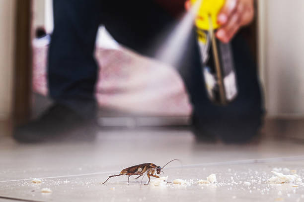 Best Mosquito Control Services  in Hominy, OK